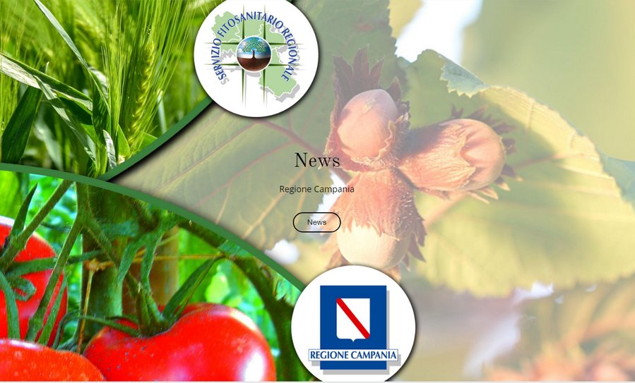 banner app fitosanitario