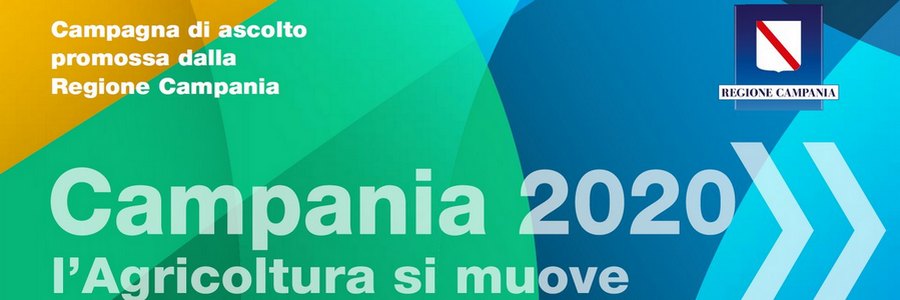 banner campania 2020