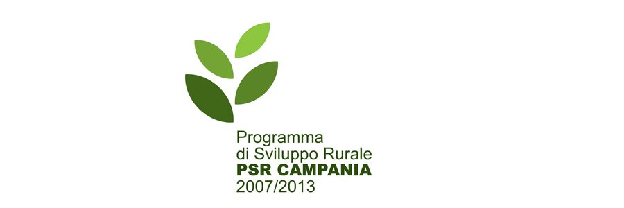 logo del PSR