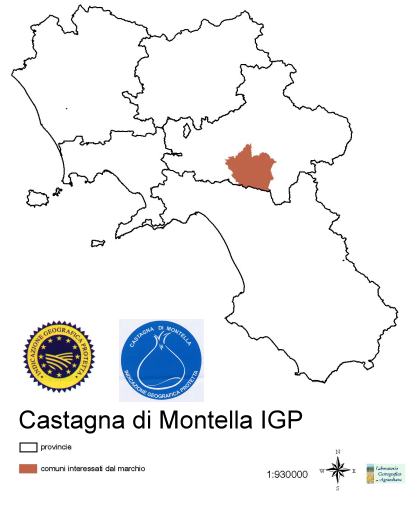 area di produzione castagna di montella