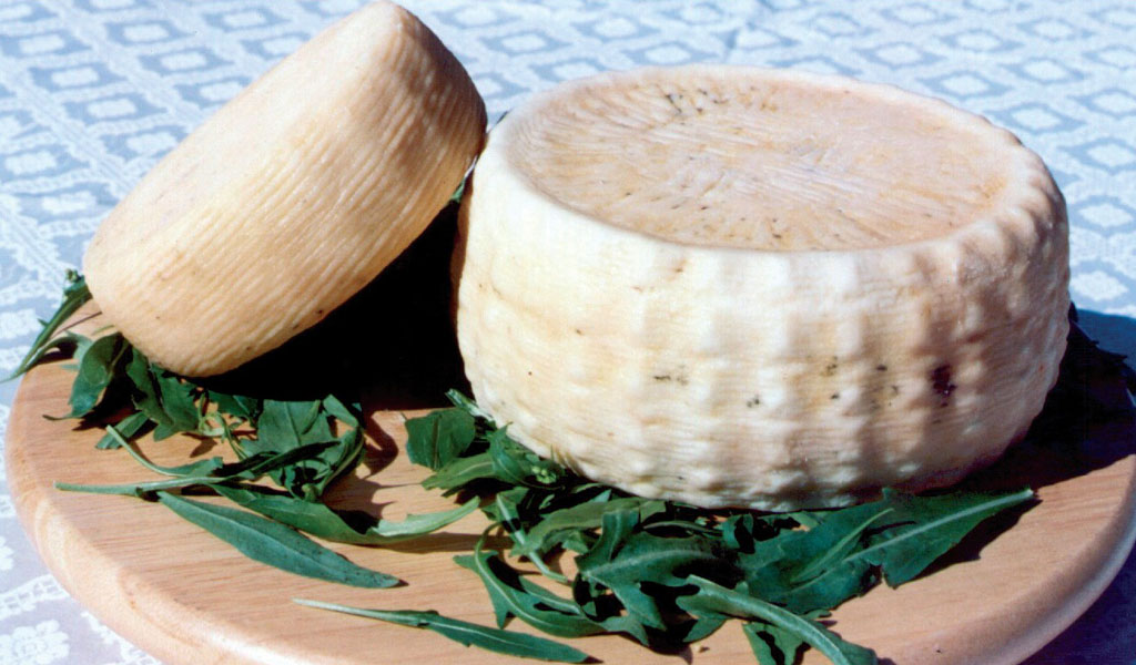 Pecorino di Laticauda