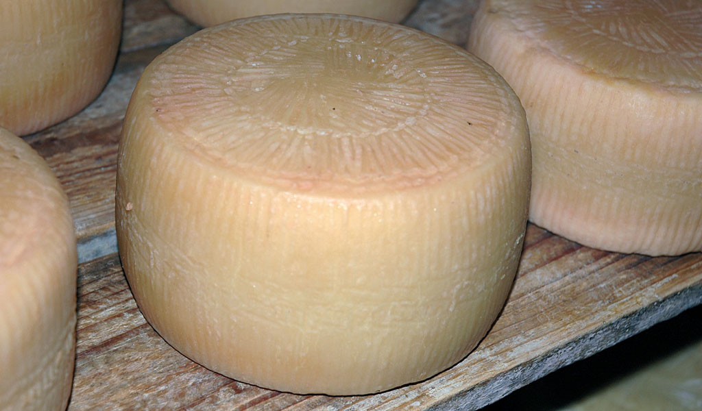 Pecorino del Monte Marzano