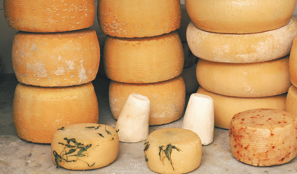 pecorino fresco e stagionato